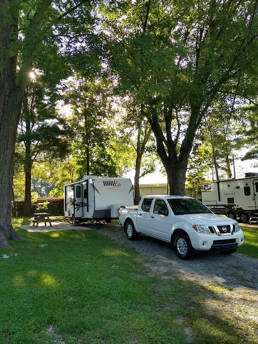 Town Mountain Travel Park Picture 6