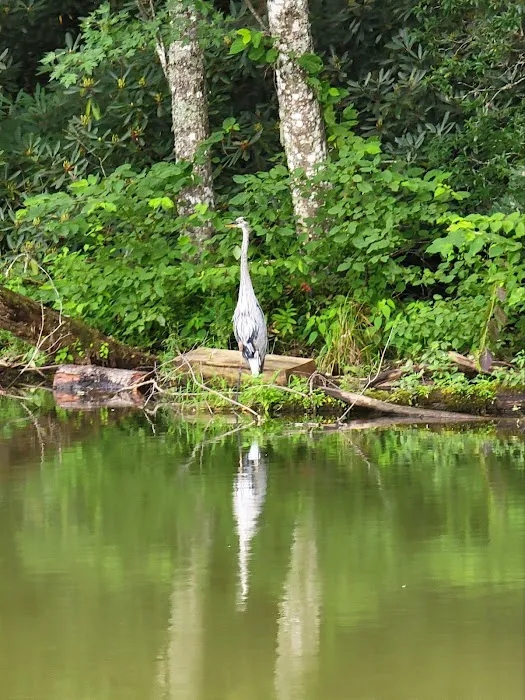 River Life Village Picture 1