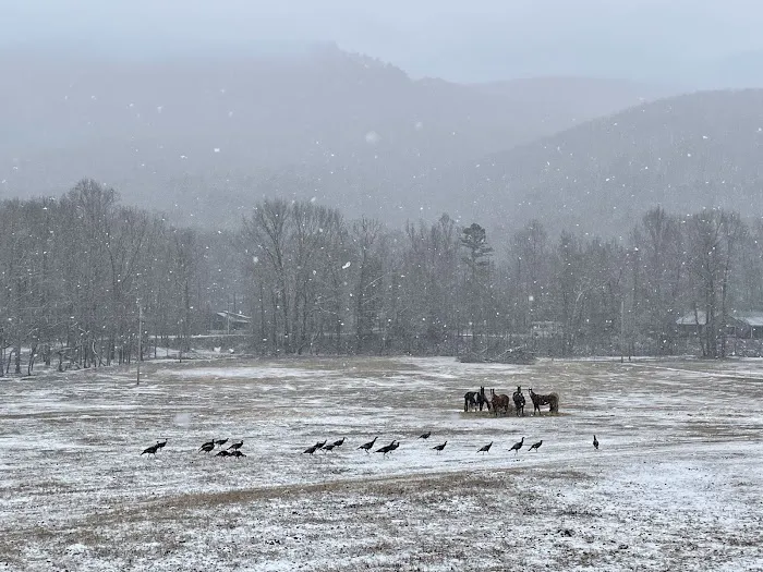 Camp Awanita Picture 3