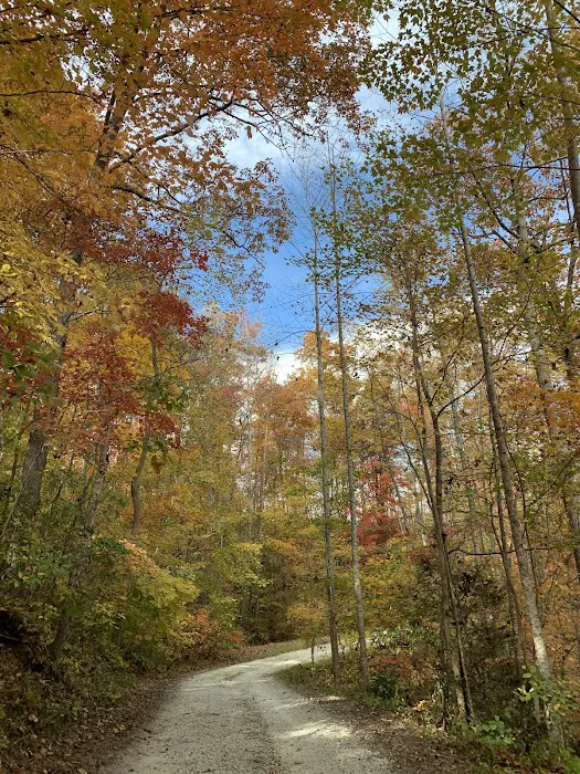 Camp Awanita Picture 5