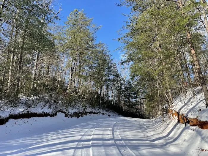 Camp Awanita Picture 8