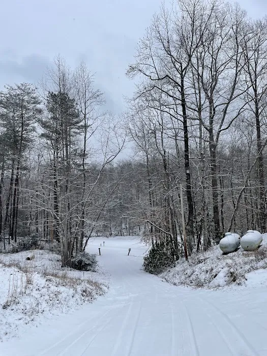 Camp Awanita Picture 4