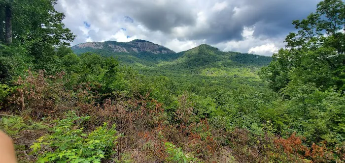 White Oaks Campground Picture 1