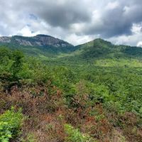 White Oaks Campground ico