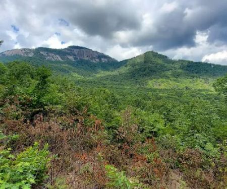 White Oaks Campground