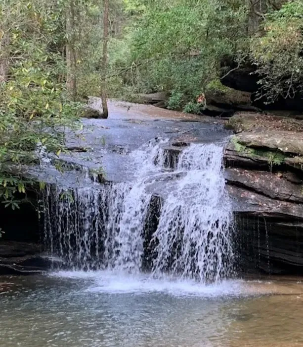 White Oaks Campground Picture 8