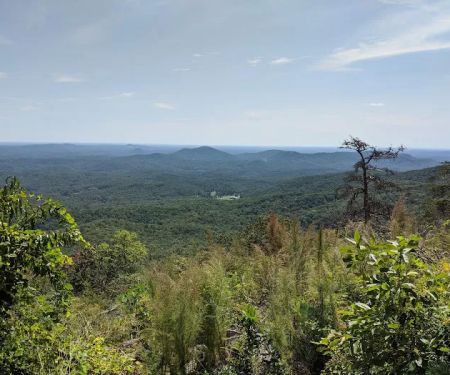 Table Rock State Park Campground Loop A
