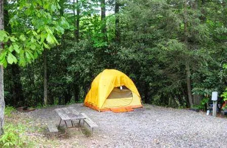 Black Forest Family Camping Resort Picture 1