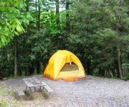 Black Forest Family Camping Resort