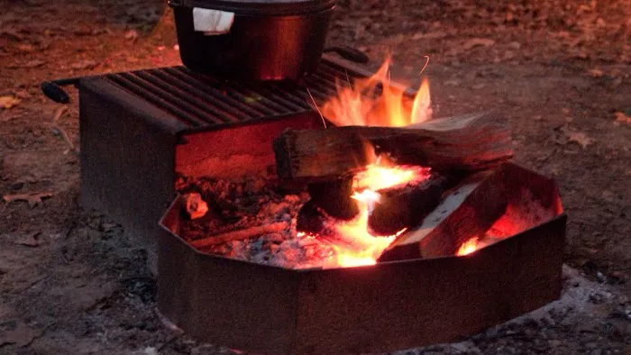 Black Forest Family Camping Resort Picture 9