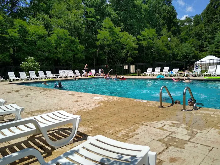 Black Forest Family Camping Resort Picture 6