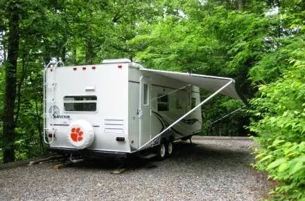 Black Forest Family Camping Resort Picture 2