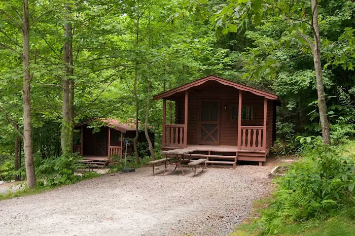 Black Forest Family Camping Resort Picture 4