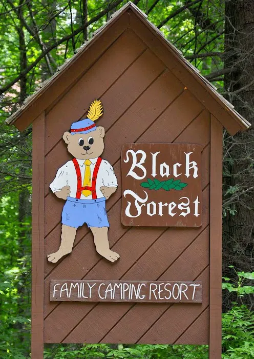 Black Forest Family Camping Resort Picture 5
