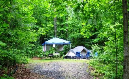 Black Forest Family Camping Resort Picture 7