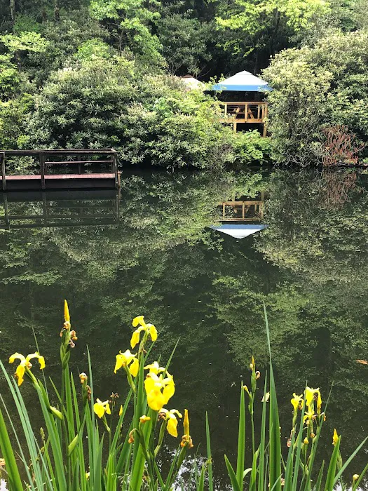 DuPont Bike Retreat Picture 5