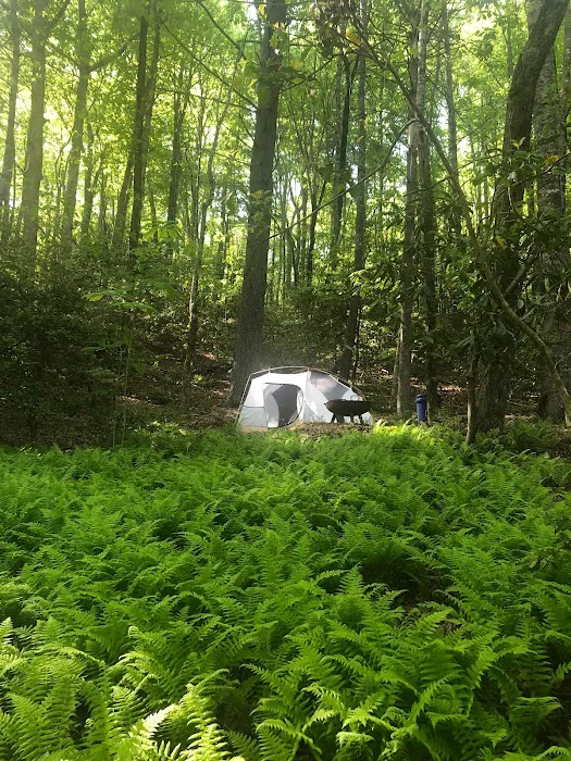 DuPont Bike Retreat Picture 8