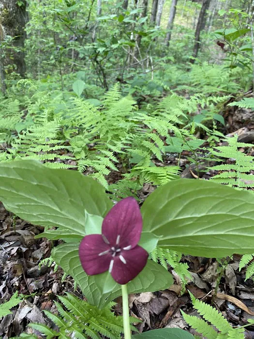 The Hideaway at Terra Nova Center Picture 1