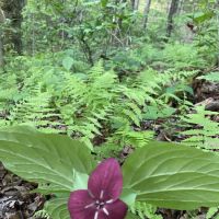 The Hideaway at Terra Nova Center ico