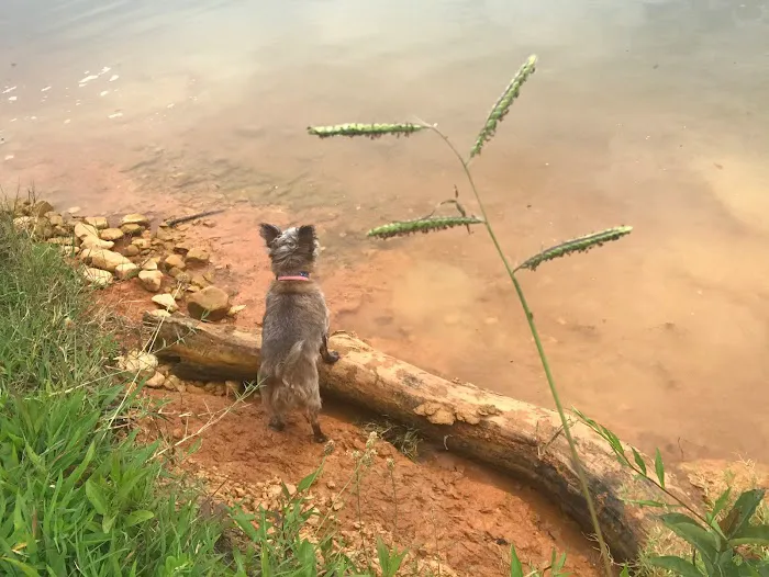 Paradise Cove I Picture 8