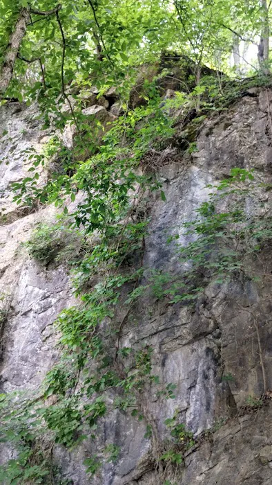 Goat mountain tVA Picture 2