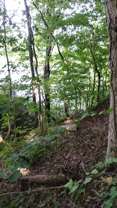 Goat mountain tVA Picture 7