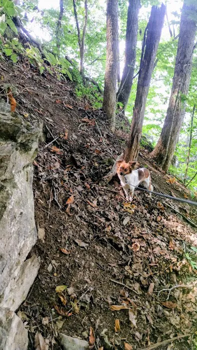 Goat mountain tVA Picture 1