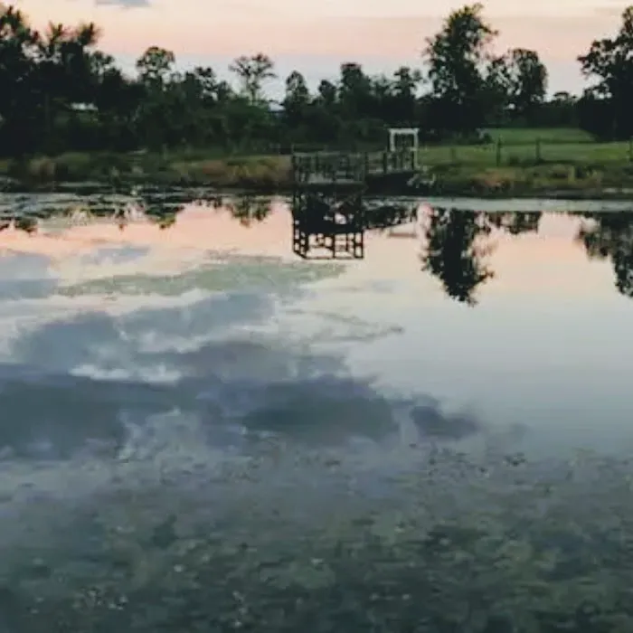 Hidden Creek Farm and Camping Pitch Picture 7