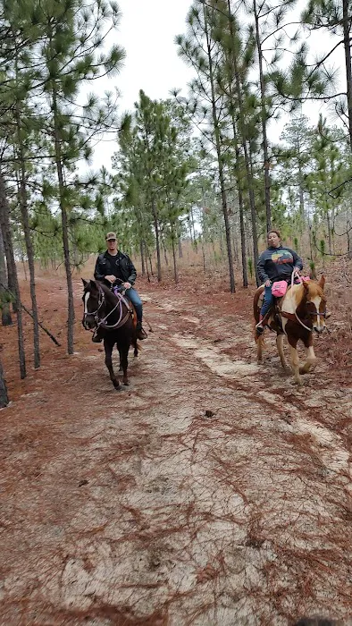 Sand Hills State Forest / Sugarloaf Mountain Picture 8