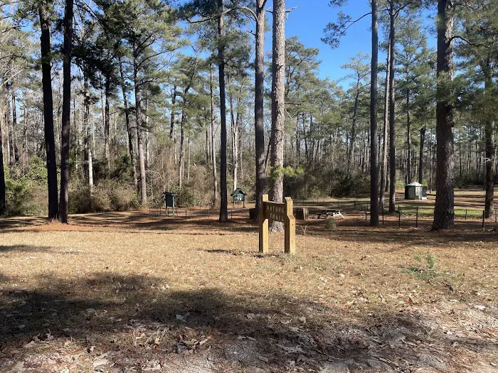 Sand Hills State Forest / Sugarloaf Mountain Picture 4