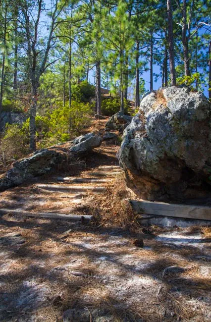 Sand Hills State Forest / Sugarloaf Mountain Picture 1