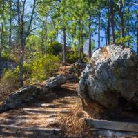 Sand Hills State Forest / Sugarloaf Mountain ico