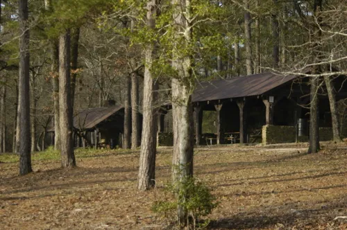 Sand Hills State Forest / Sugarloaf Mountain Picture 5