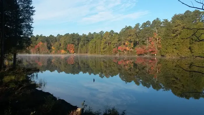 Sand Hills State Forest / Sugarloaf Mountain Picture 10