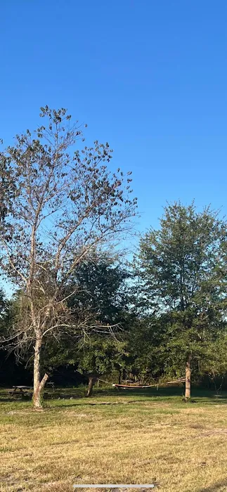 McBee Campground and Campsites Picture 4