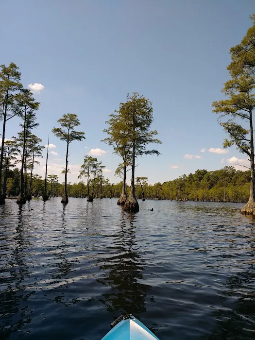 Cheraw Campground Picture 2