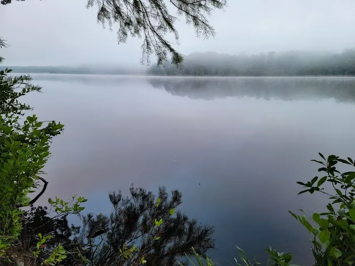 Cheraw Campground Picture 3