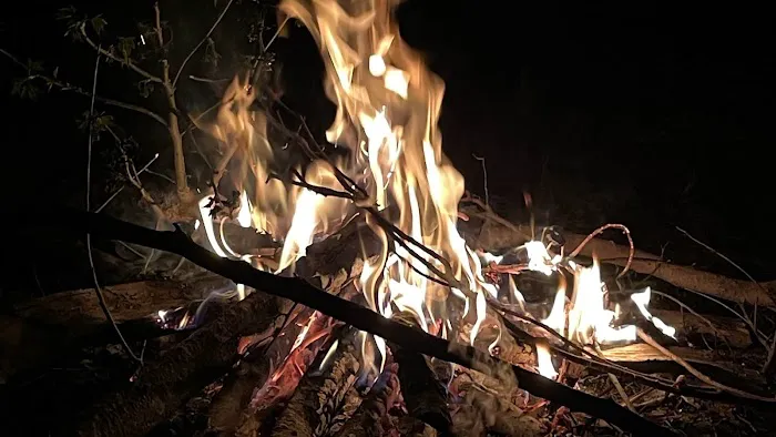 Bitter TEA Acres Picture 1