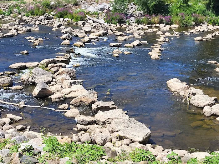 Chesaning Showboat Camping Picture 3