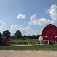 D - A Scout Camp, Michigan Crossroads Council ico