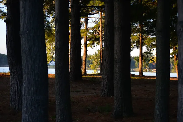 Wolverine Campground Picture 10