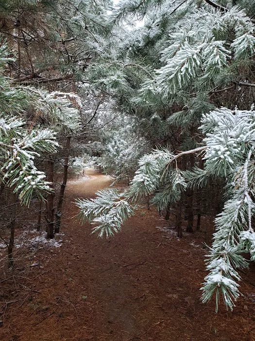 Evergreen Campgrounds Picture 3