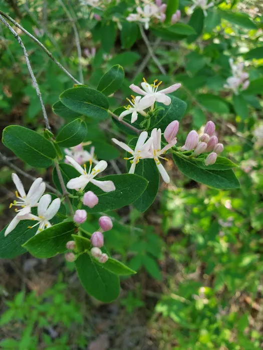 Evergreen Campgrounds Picture 2