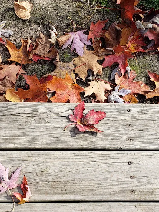 Evergreen Campgrounds Picture 8