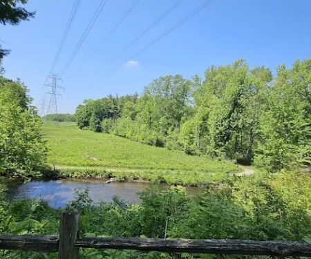 Lakeview Shelter H - Stoney Creek Metropark