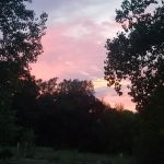 Attica Pines Campground