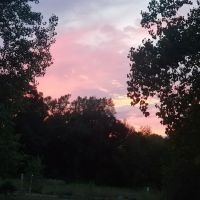 Attica Pines Campground ico