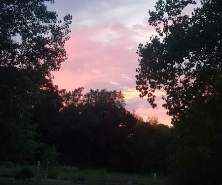 Attica Pines Campground