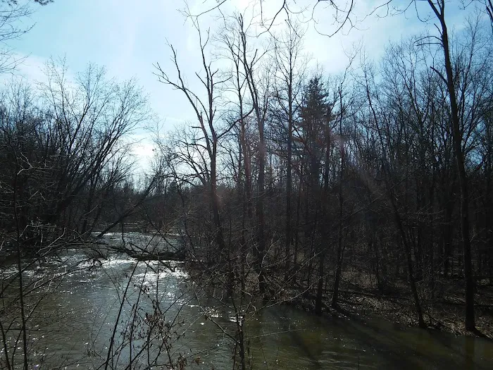 Oxbow Campground Picture 8