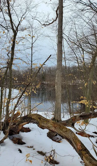 Oxbow Campground Picture 6